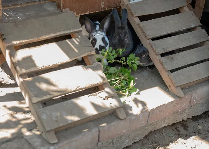 ゲストハウス Kura Kura テジャクラ